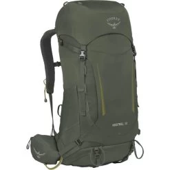 Osprey Kestrel 38 Bonsai Green L/XL